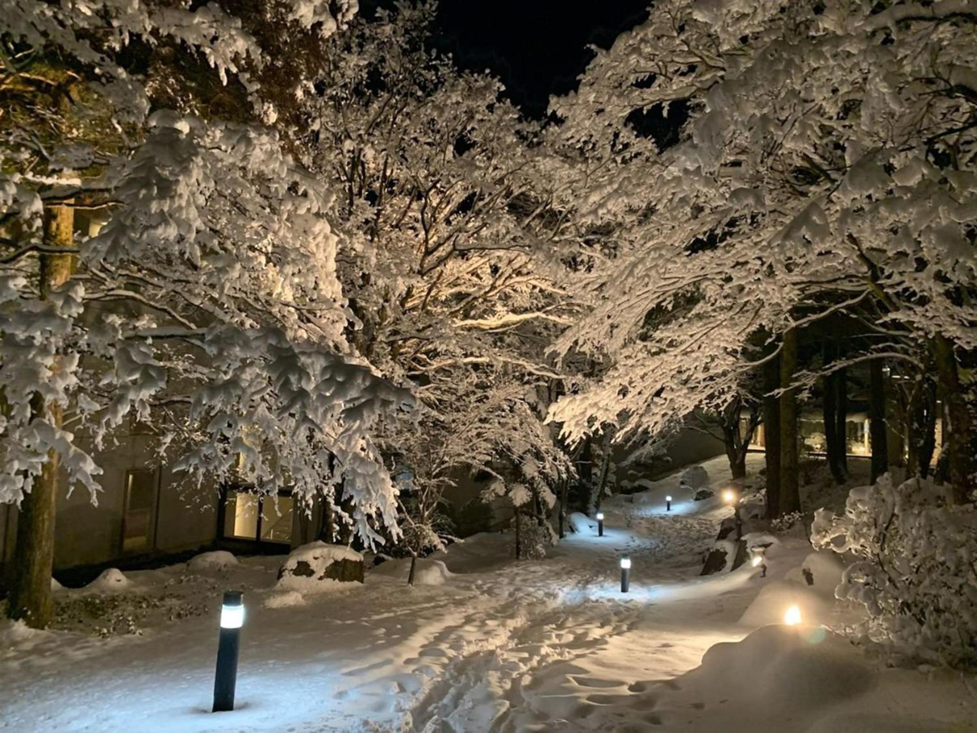 하코네 유노하나 프린스 호텔 Kanagawa 외부 사진