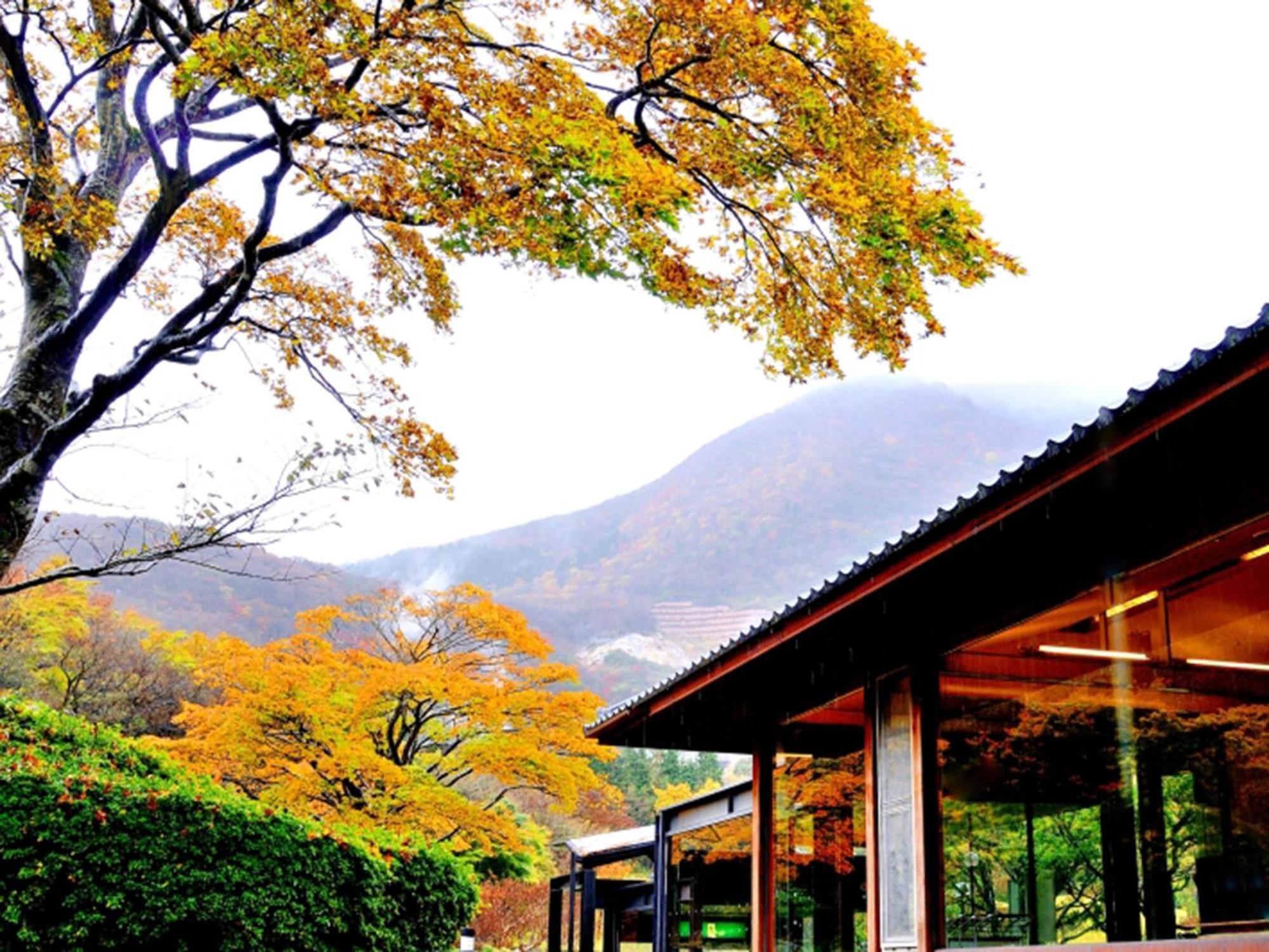 하코네 유노하나 프린스 호텔 Kanagawa 외부 사진