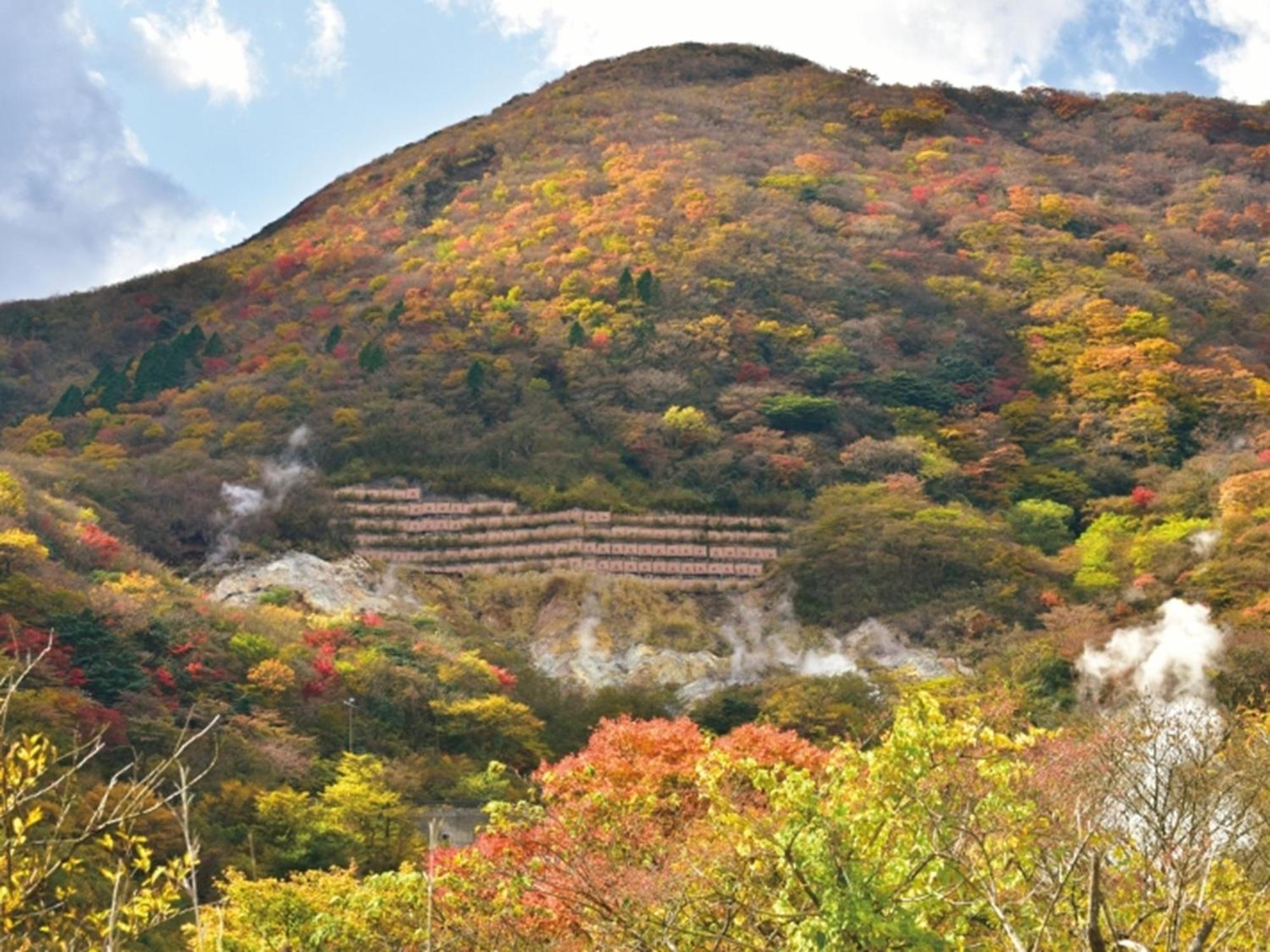 하코네 유노하나 프린스 호텔 Kanagawa 외부 사진