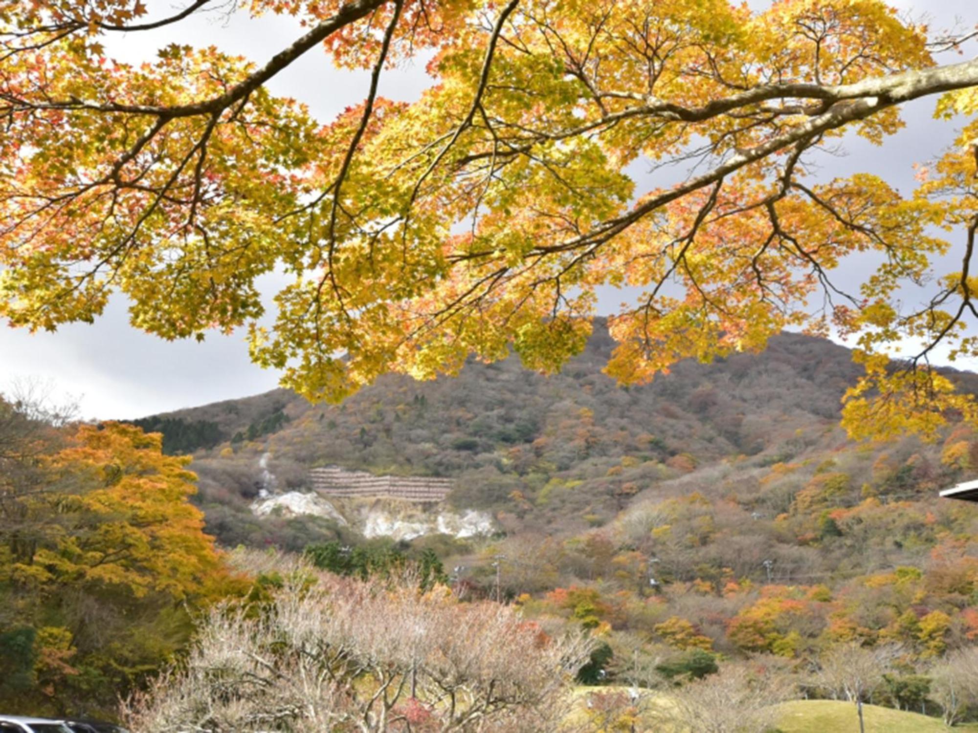 하코네 유노하나 프린스 호텔 Kanagawa 외부 사진